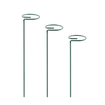 30 Single Stem Plant Support Stakes in the Yard