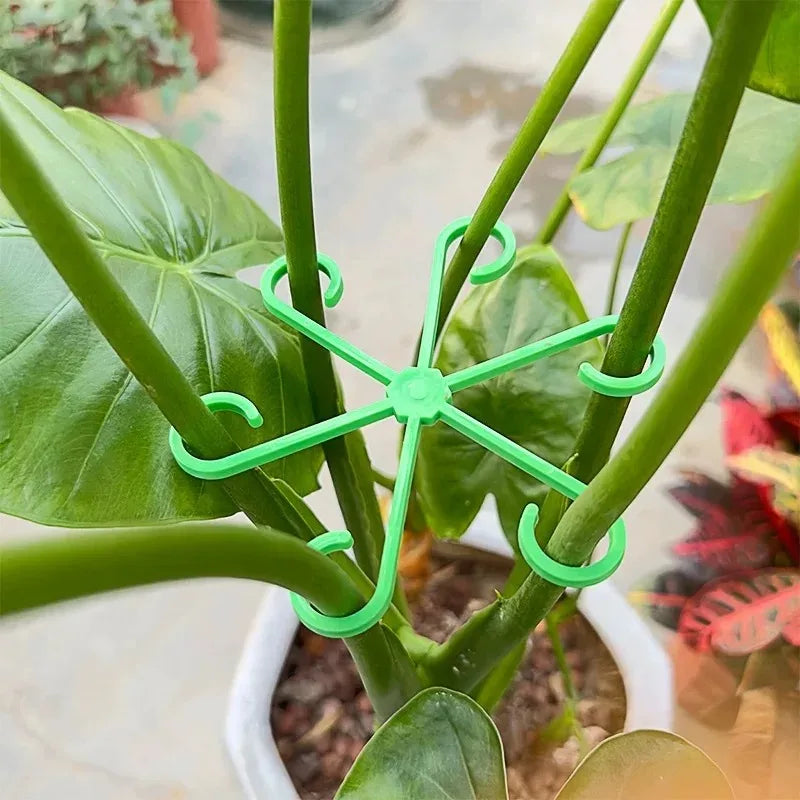 Indoor Plant Support Stakes and Plastic Hoops