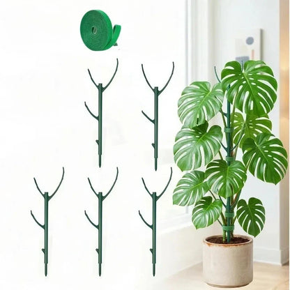 Stackable Plant Support Frame For Climbing Vines
