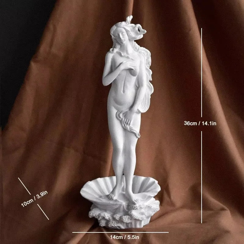 Birth of Venus resin statue Perfecsy Botticelli inspired white goddess on scallop shell desk base on Tampa Home & Garden Store