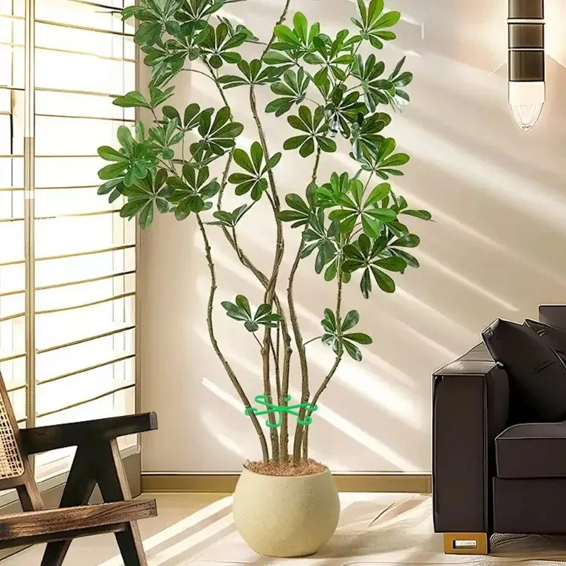 Indoor Plant Support Stakes and Plastic Hoops