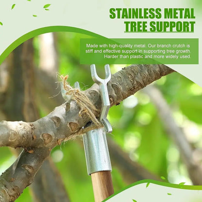 Metal Tree Support and Brace for Garden Plants