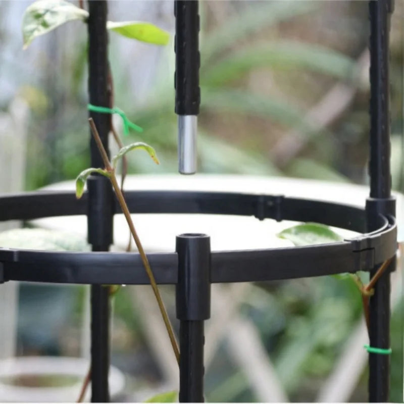 Outdoor Climbing Plant Trellis Garden Support