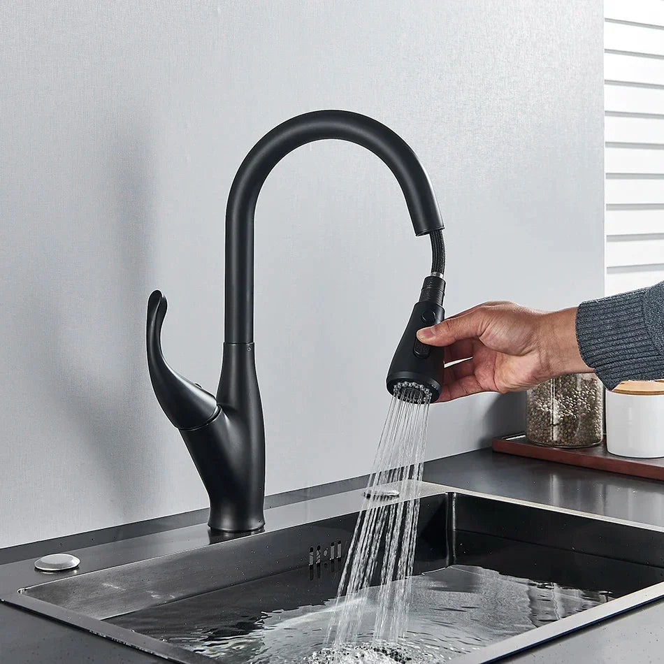 DecorBites chrome/black kitchen faucet with pull-out mixer and 2-function spray on Tampa Home & Garden Store