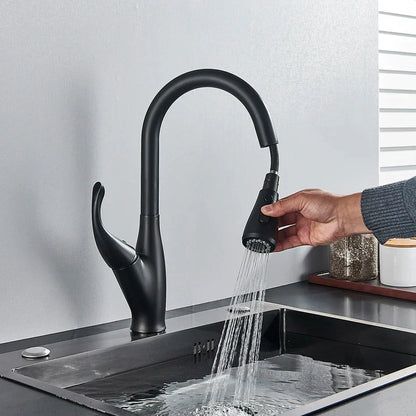 DecorBites chrome/black kitchen faucet with pull-out mixer and 2-function spray on Tampa Home & Garden Store