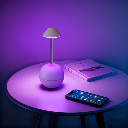 Perfecsy LED desk lamp with remote, RGB glow, adjustable height, conical shade on base on Tampa Home & Garden Store