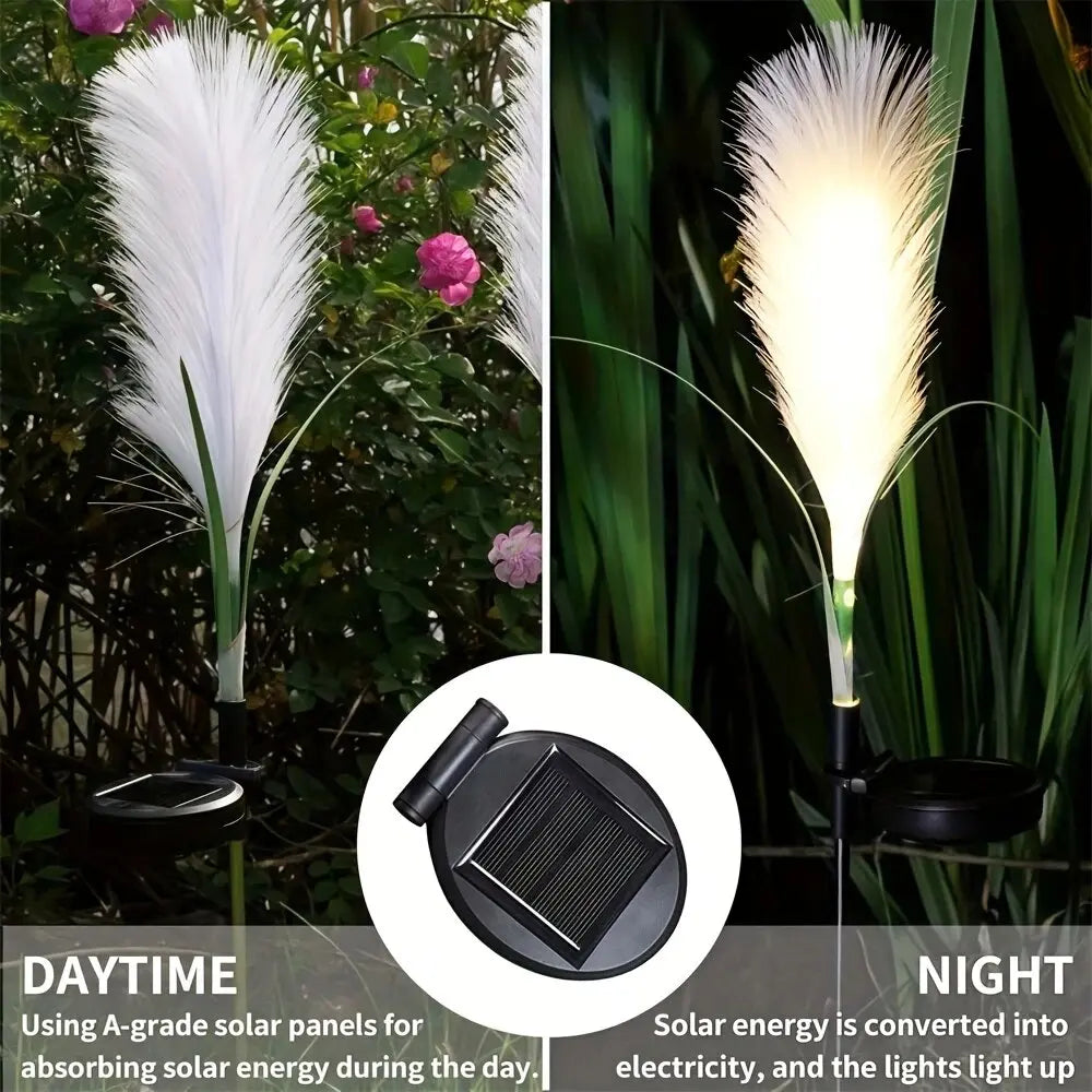 LED Solar Reed Lawn Lamp 1PC by Perfecsy with white plume for garden decor on Tampa Home & Garden Store