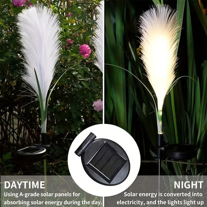 LED Solar Reed Lawn Lamp 1PC by Perfecsy with white plume for garden decor on Tampa Home & Garden Store