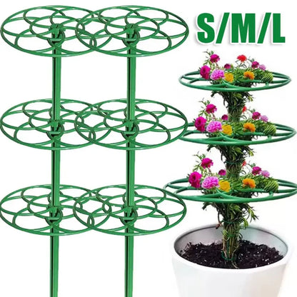 Plastic Bonsai Frame and Garden Vine Plant Stand