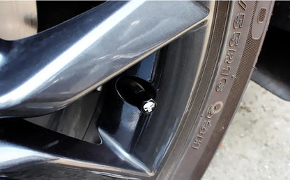 BikerZoneZ anti-theft skull valve stem cap on black wheel valve with silver skull emblem on Tampa Home & Garden Store