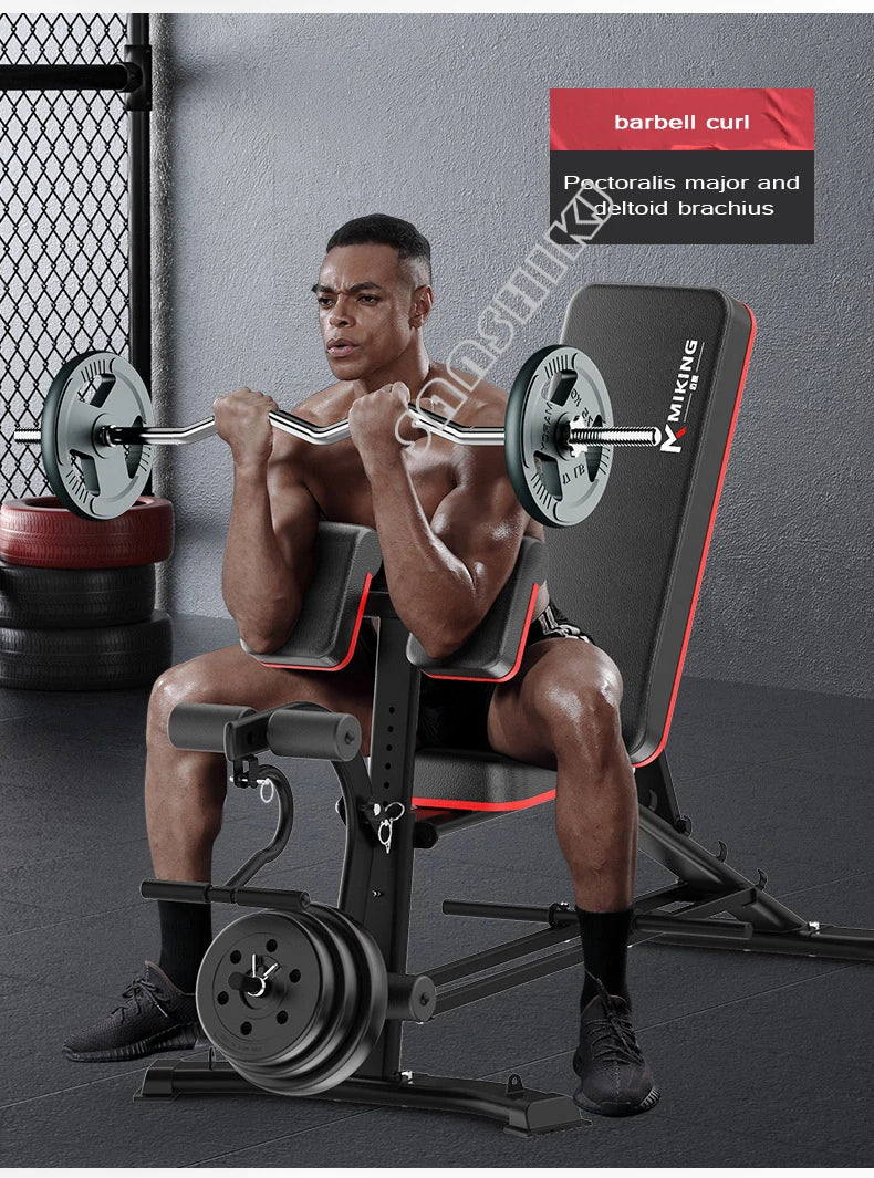 Adjustable weightlifting bench UpTrend Deals with red-trim padding and 1 barbell with plates on Tampa Home & Garden Store