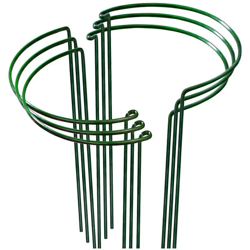 6Pcs Metal Plant Support Stakes and Borders