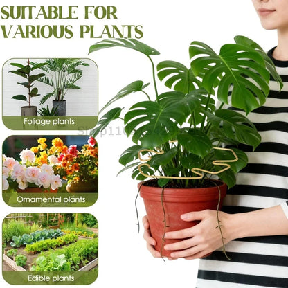 Indoor Plant Stem Support Clips for Houseplants