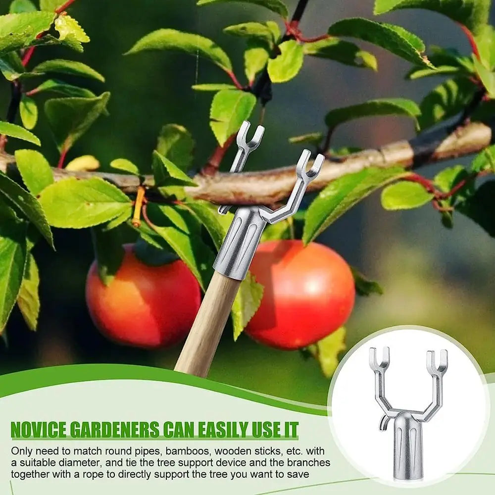 Metal Tree Support and Brace for Garden Plants
