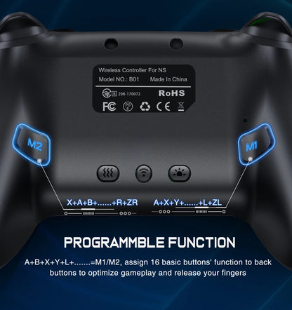 FLIPSTYLEZLLC RGB Wireless Controller for Nintendo Switch Pro/Switch 2 with blue M1/M2 buttons on Tampa Home & Garden Store