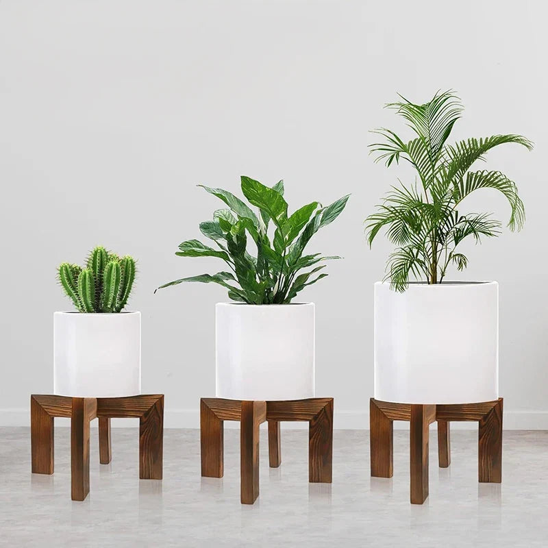 Sturdy Wooden Rack And A Solid Bonsai Plant Shelf