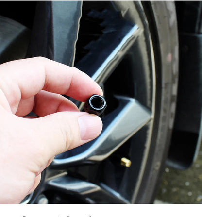 Anti-Theft Skull Valve Stem Cap, black metal valve cap for wheel air valves on Tampa Home & Garden Store