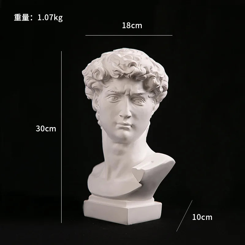 David head bust statue in white resin, Perfecsy brand, 30 cm tall home decor sculpture on Tampa Home & Garden Store