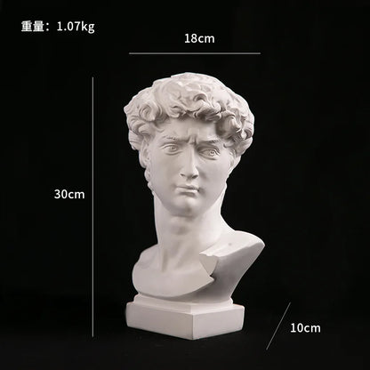 David head bust statue in white resin, Perfecsy brand, 30 cm tall home decor sculpture on Tampa Home & Garden Store