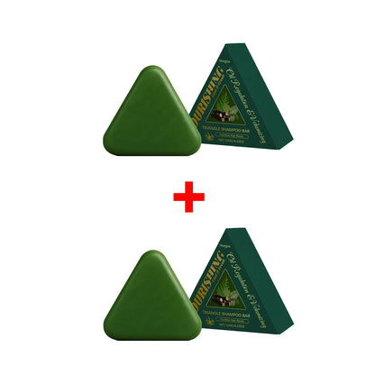 Triangle green hair growth shampoo bar by Silcy Skin with matching green triangular packaging on Tampa Home & Garden Store