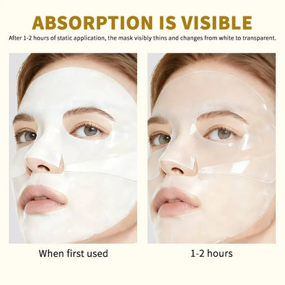 Silcy Skin Overnight Collagen Face Mask sheet; two-panel show initial use and 1-2h absorb on Tampa Home & Garden Store