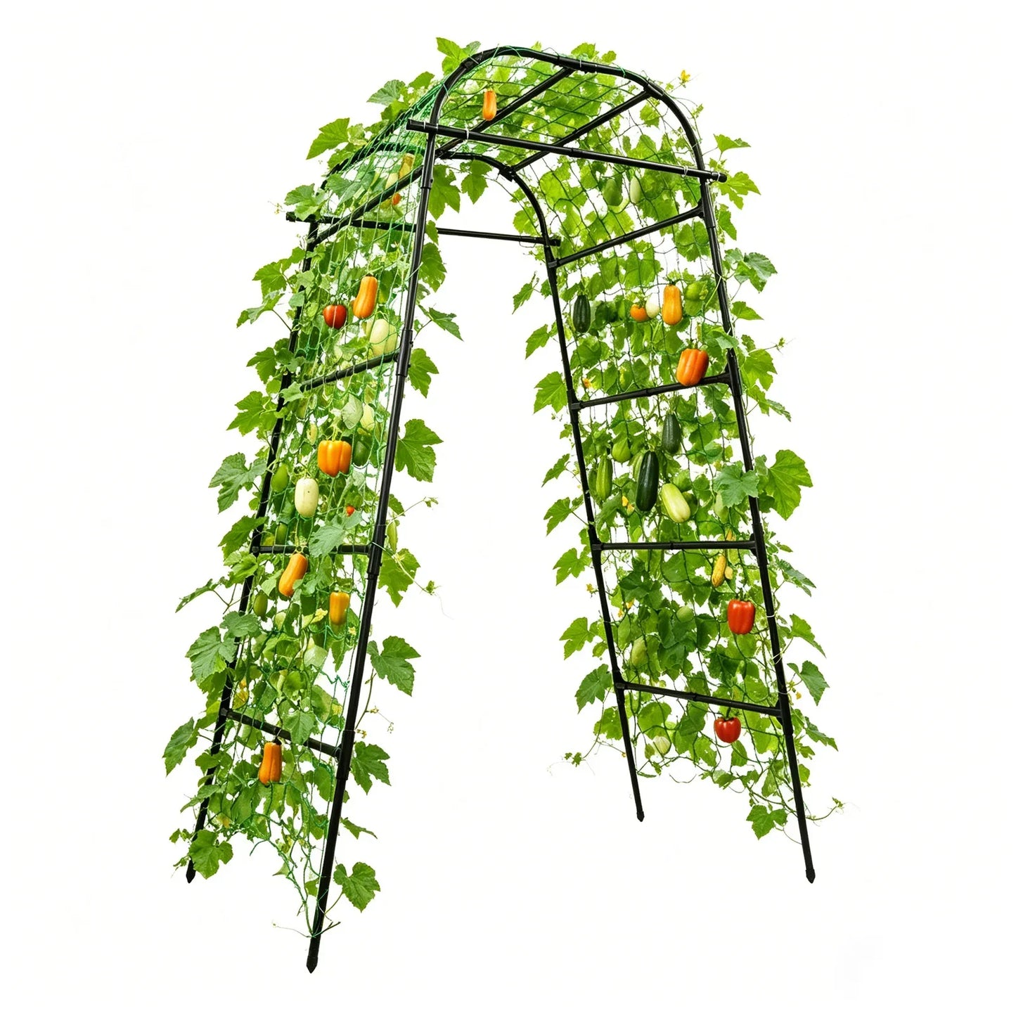 Steel Garden Arch and Climbing Plant Trellis