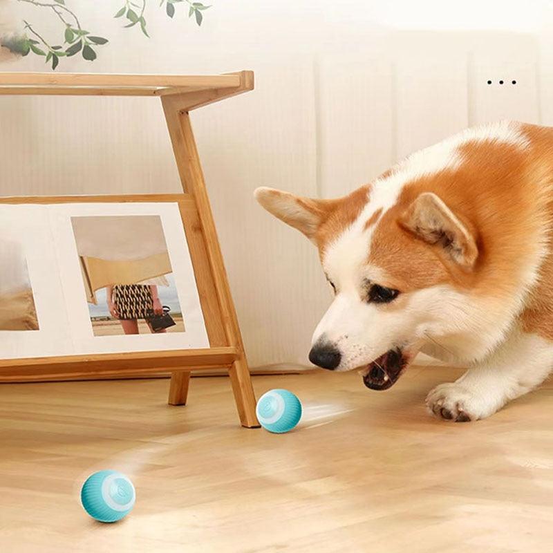 Smart cat rolling ball toy turquoise USB rechargeable interactive indoor kitten ball chaser on Tampa Home & Garden Store