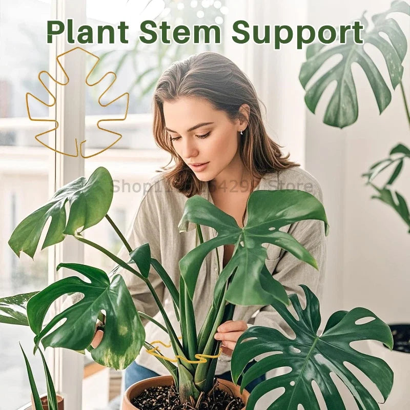Iron Plant Stem Support Clips for Monstera Vine