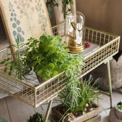 Metal Plant Stand For Indoor and Outdoor Plants