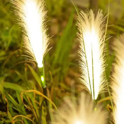 Three Perfecsy LED solar reed lawn lamp stake lights with warm white glow for garden path on Tampa Home & Garden Store