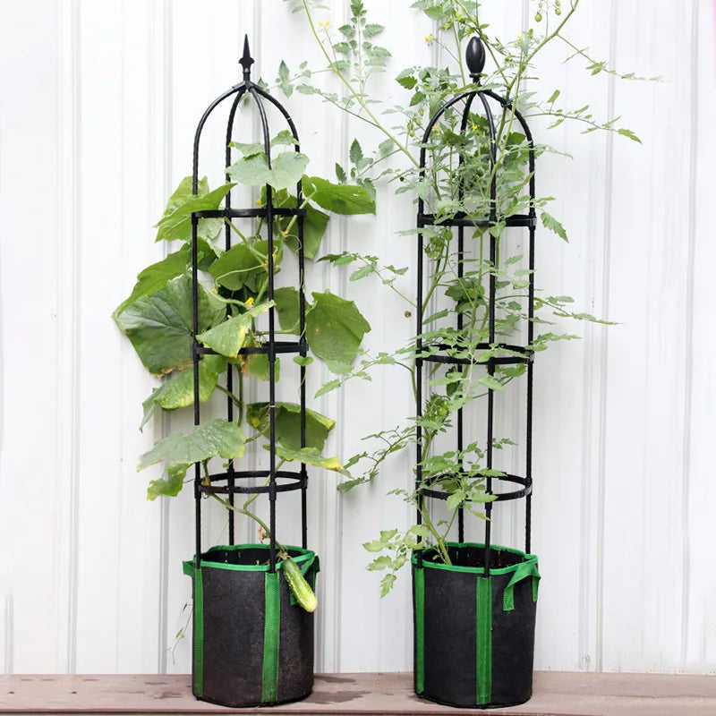 Outdoor Climbing Plant Trellis Garden Support