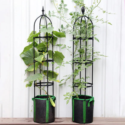 Outdoor Climbing Plant Trellis Garden Support