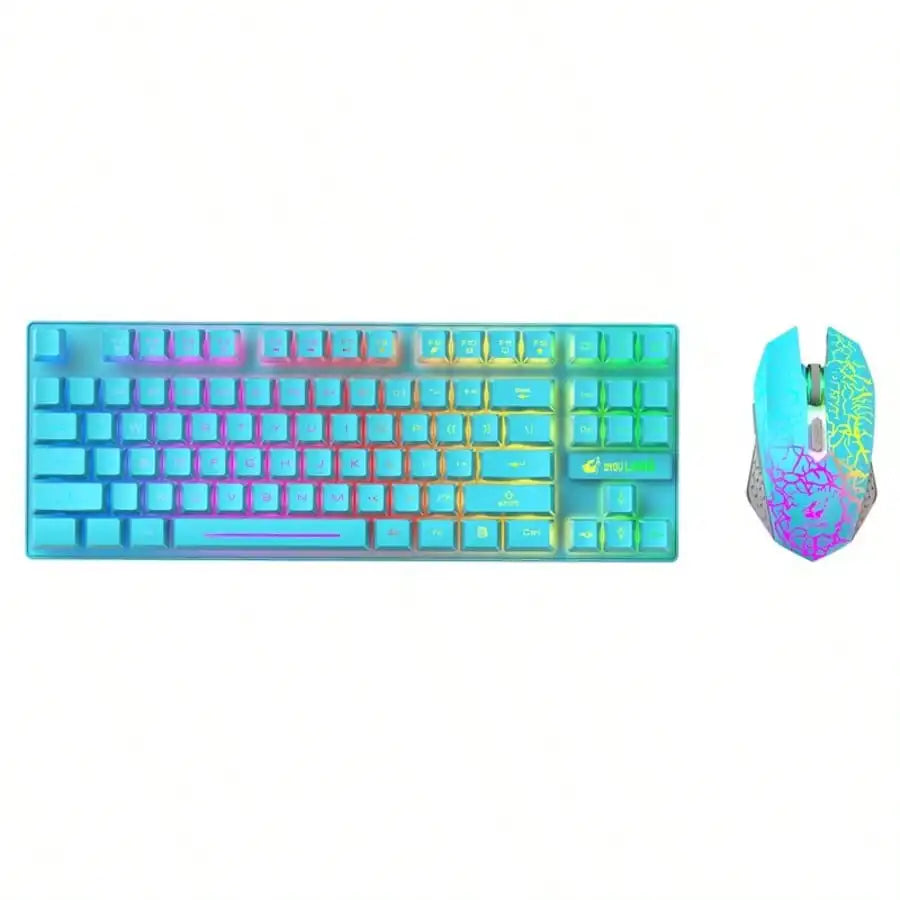 Free Wolf T87 wireless keyboard and mouse set with RGB turquoise keys and rainbow mouse on Tampa Home & Garden Store