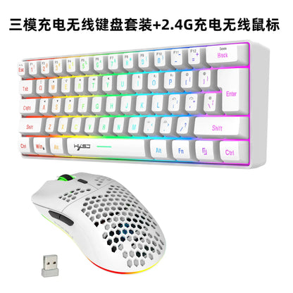 White wireless 60% keyboard and RGB-lit gaming mouse with USB dongle for PC on Tampa Home & Garden Store