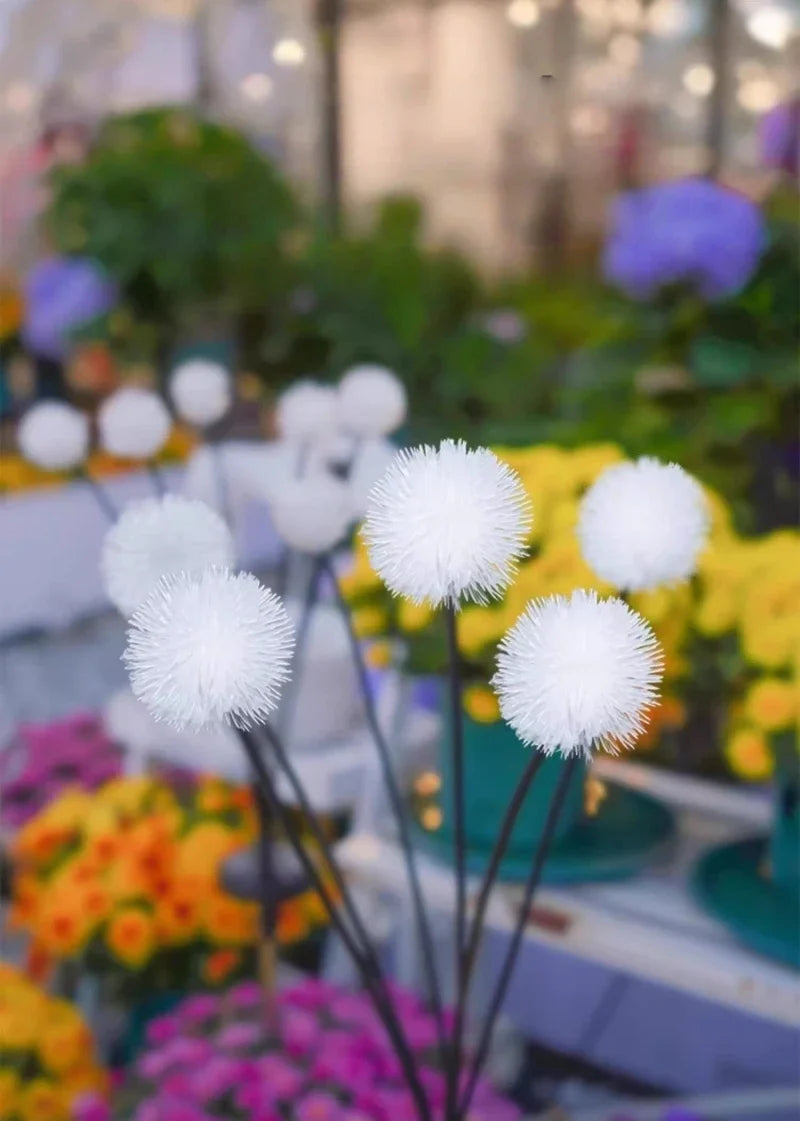 Perfecsy 6-head solar LED dandelion garden lights with white pom-pom bulbs on stakes for lawn on Tampa Home & Garden Store
