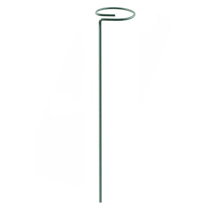 30 Single Stem Plant Support Stakes in the Yard