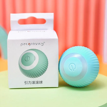 Smart cat rolling ball toy turquoise blue rechargeable with power button by petgravity box on Tampa Home & Garden Store