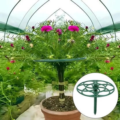 Plastic Bonsai Vine Rack and Plant Support Stand