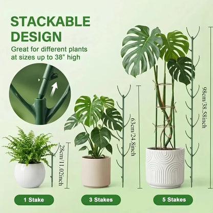 Stackable Green Plant And Vine Support Rack