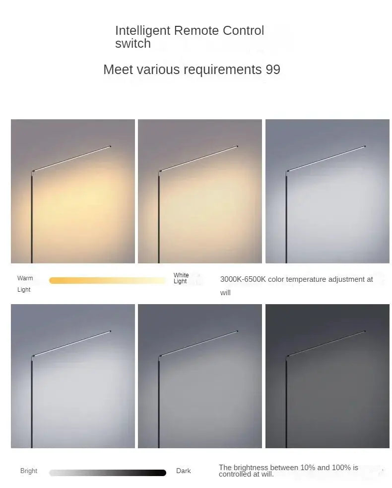 DecorBites LED Floor Lamp with adjustable 3000–6500K color temp and 10–100% brightness on Tampa Home & Garden Store