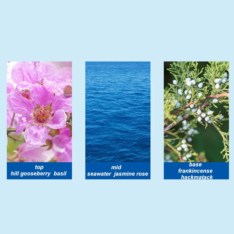 Silcy Skin perfume 50ml blue unisex — pink blossoms, blue seawater, conifer berries on Tampa Home & Garden Store