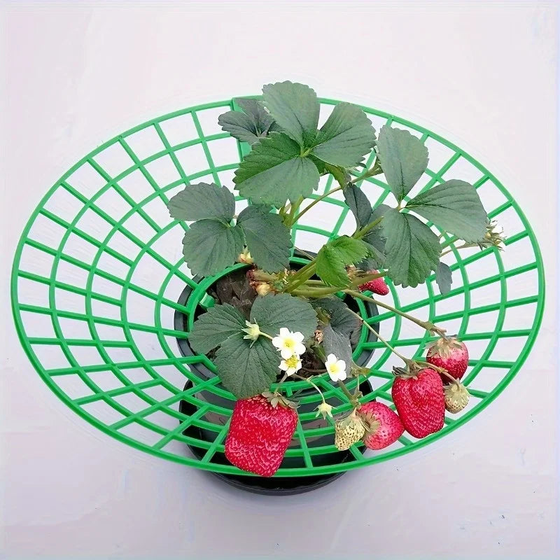 Green Pvc Strawberry Cage and Plant Protector