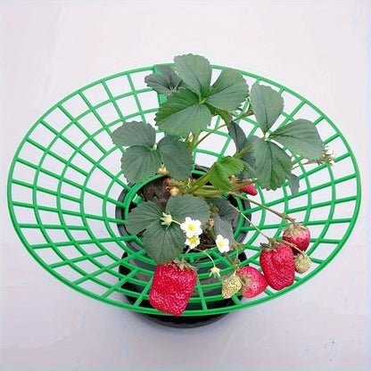 Green Plastic Strawberry Support Cage and Plants