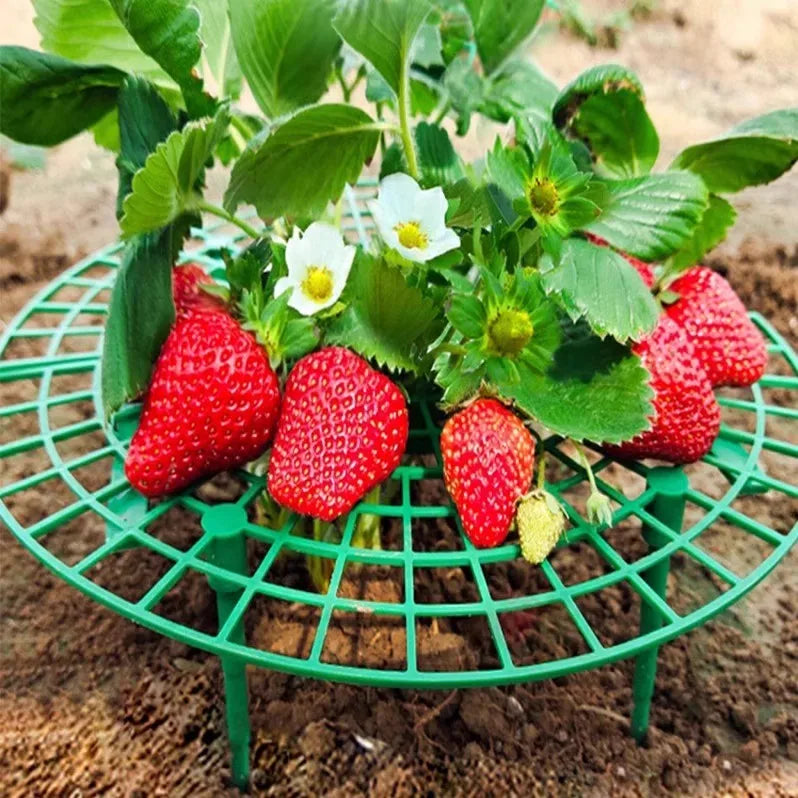 Green Plastic Strawberry Support Rack for Garden