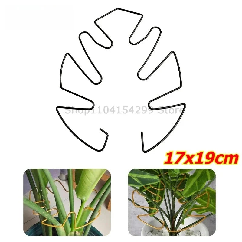 Iron Plant Stem Support Clips for Monstera Vine