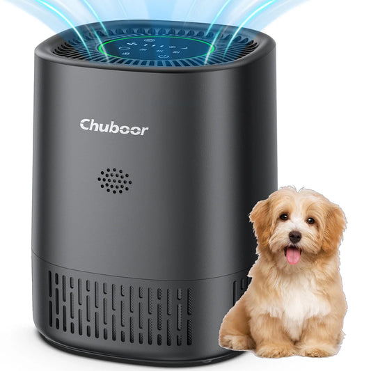 Air Purifier for Bedroom Home with HEPA Filter Smoke Allergies Pet Odor Dust - Tampa Home & Garden Store