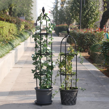 Outdoor Climbing Plant Trellis Garden Support
