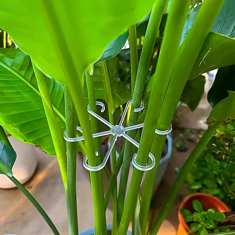 Indoor Plant Support Stakes and Plastic Hoops