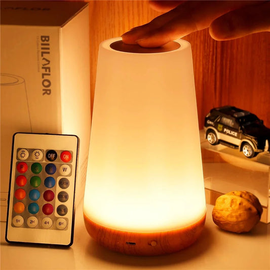 RGB Color Changing Night Light Touch Dimmable USB Rechargeable Lamp for Bedside - Tampa Home & Garden Store