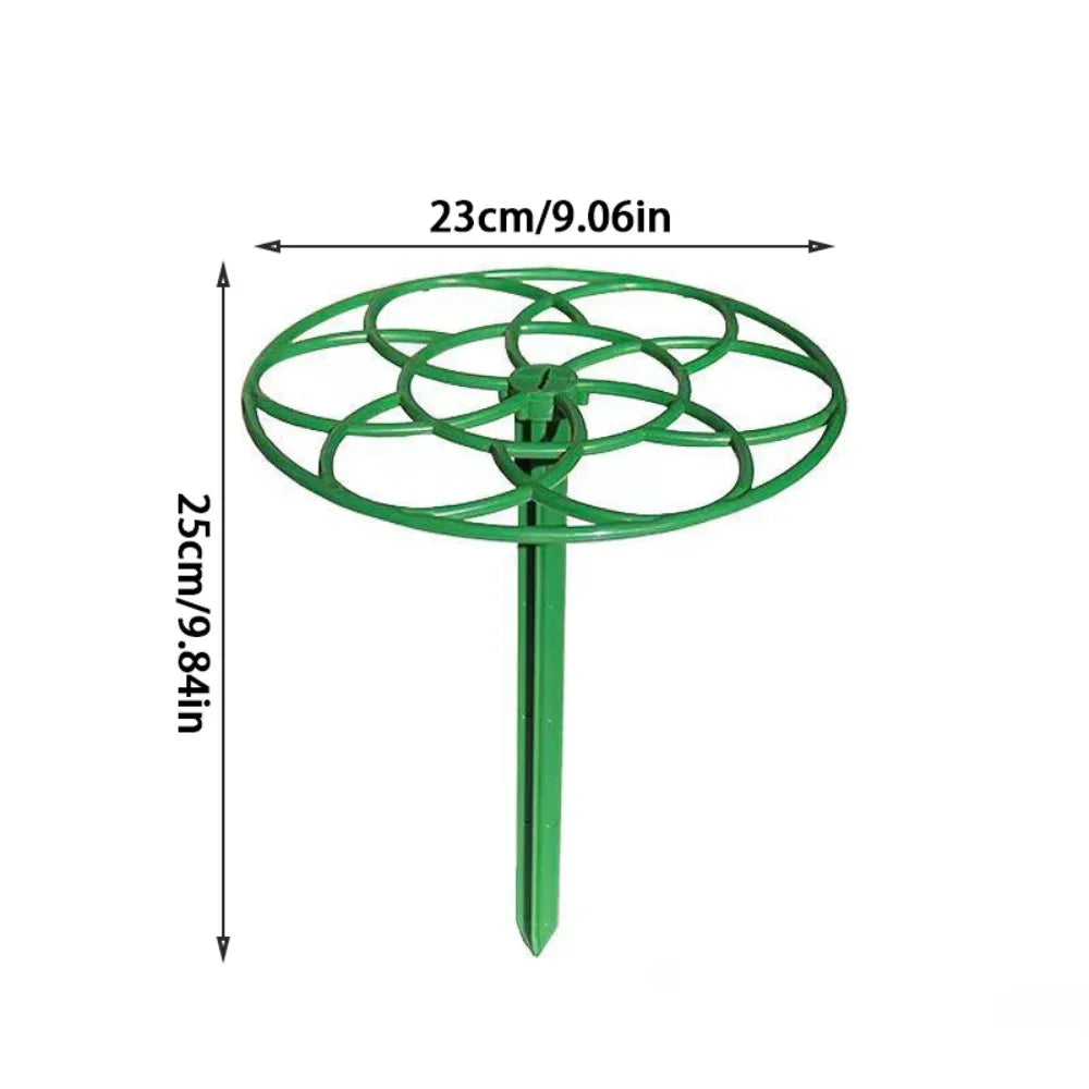 Plastic Bonsai Vine Rack and Plant Support Stand